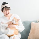 ペットのイメージ画像