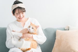 ペットのイメージ画像