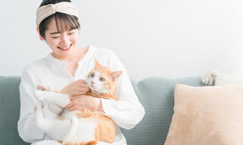 ペットのイメージ画像