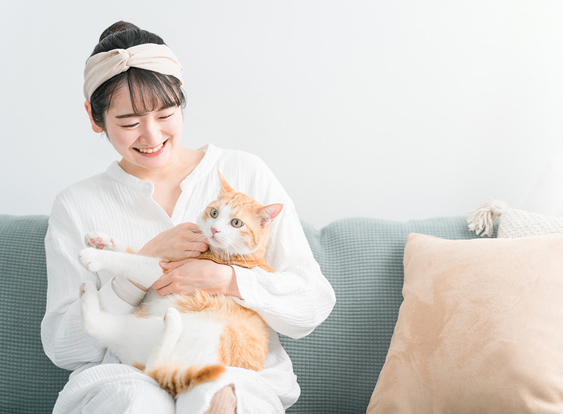 ペットのイメージ画像