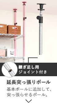 ~iX19mmp̌ppWCgt˂|[