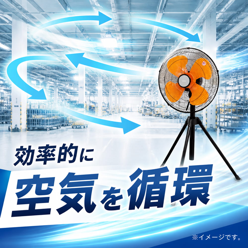 �摜