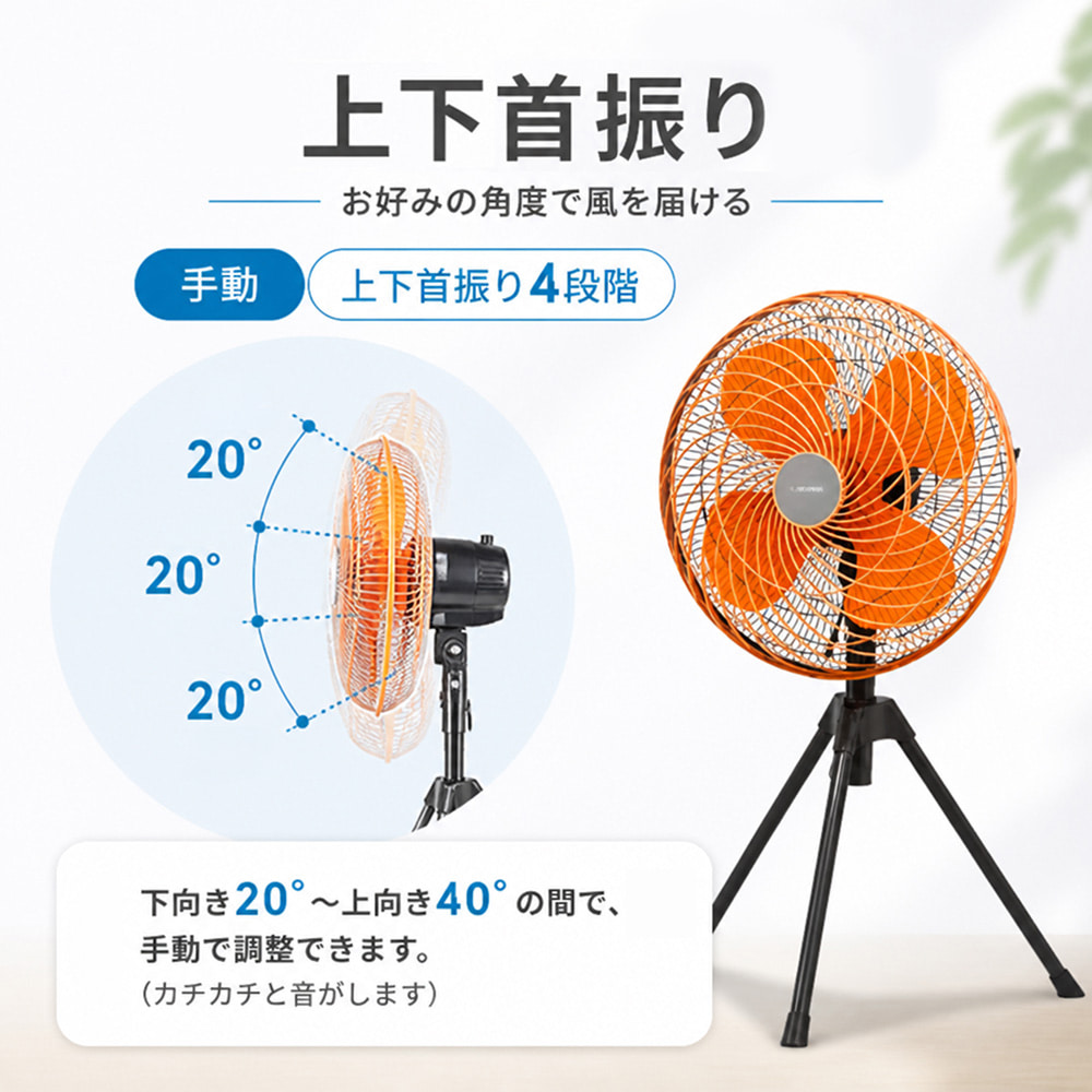 �摜