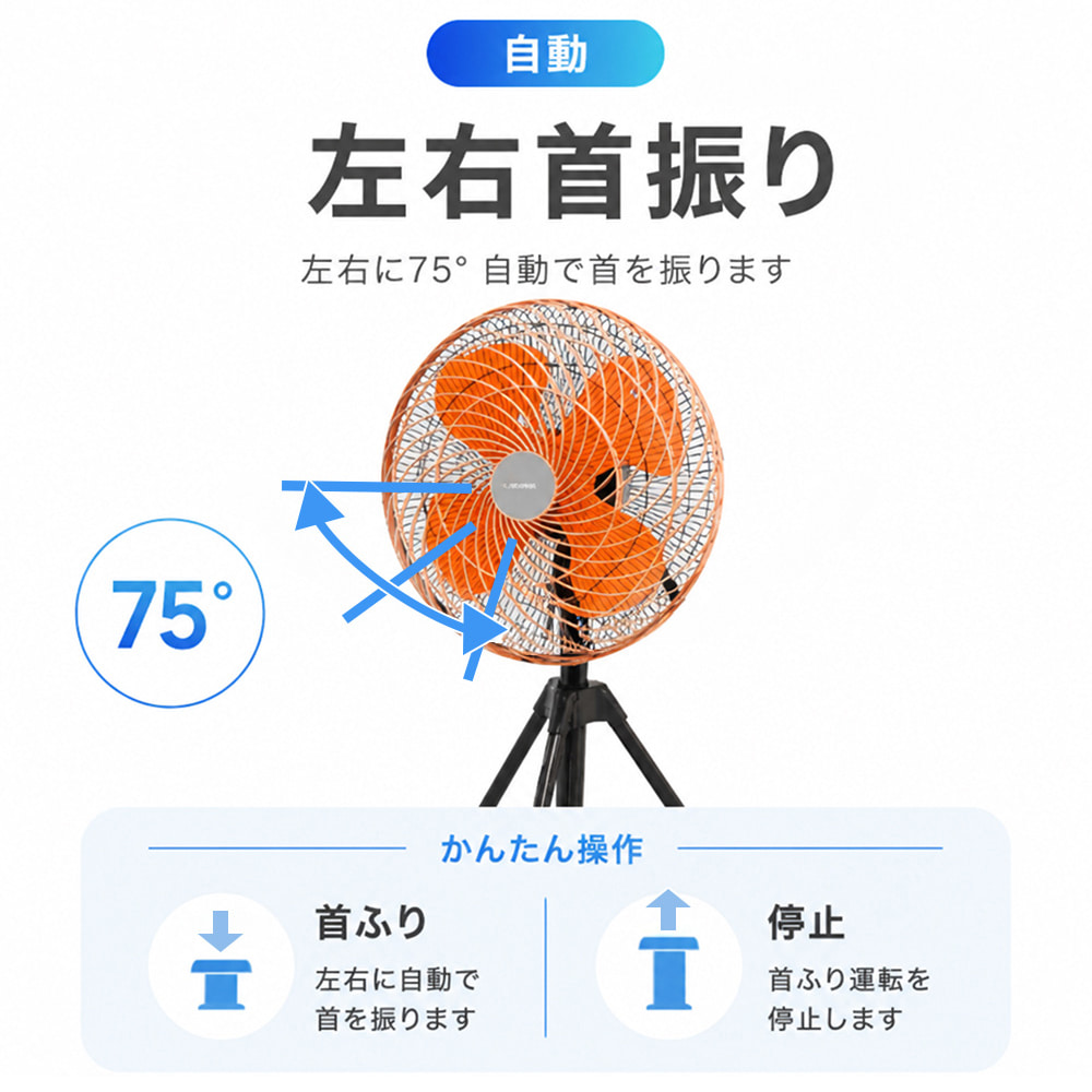 �摜