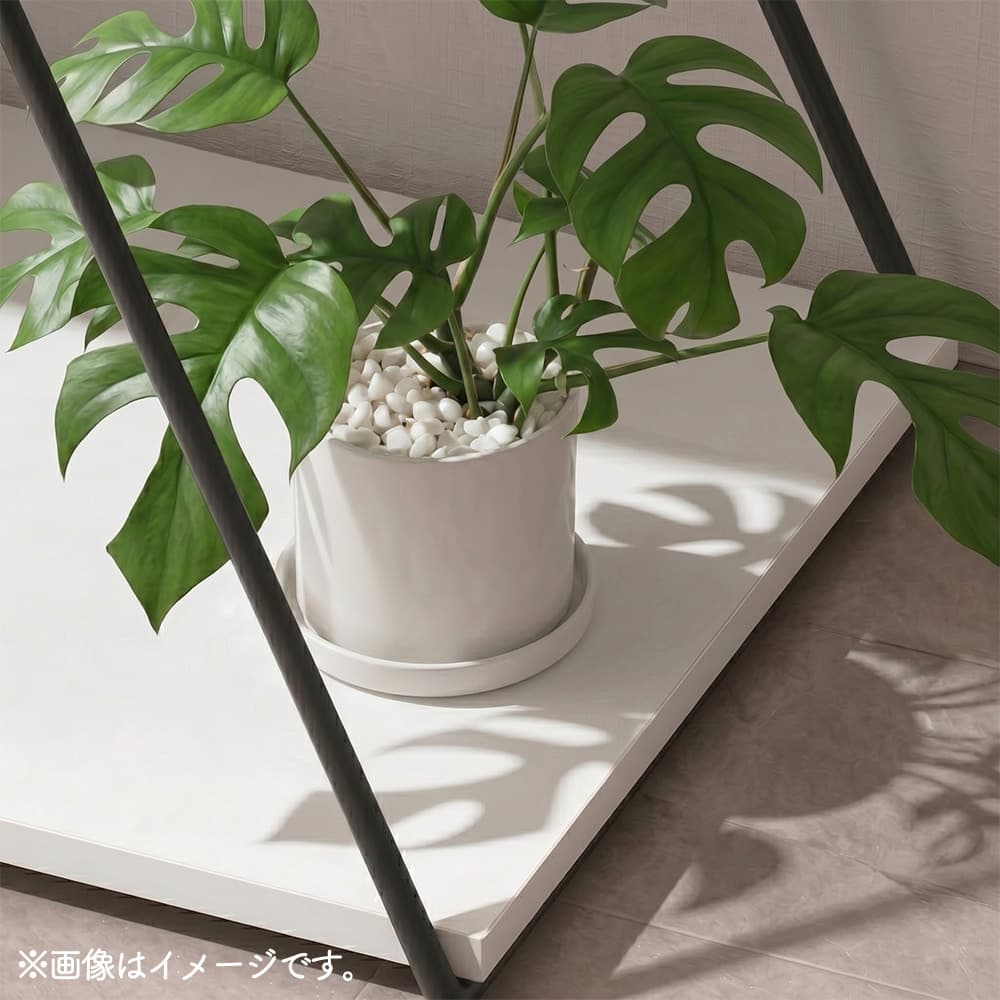 �摜