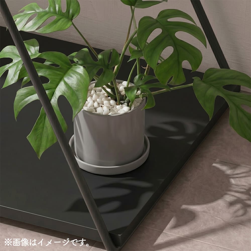 �摜