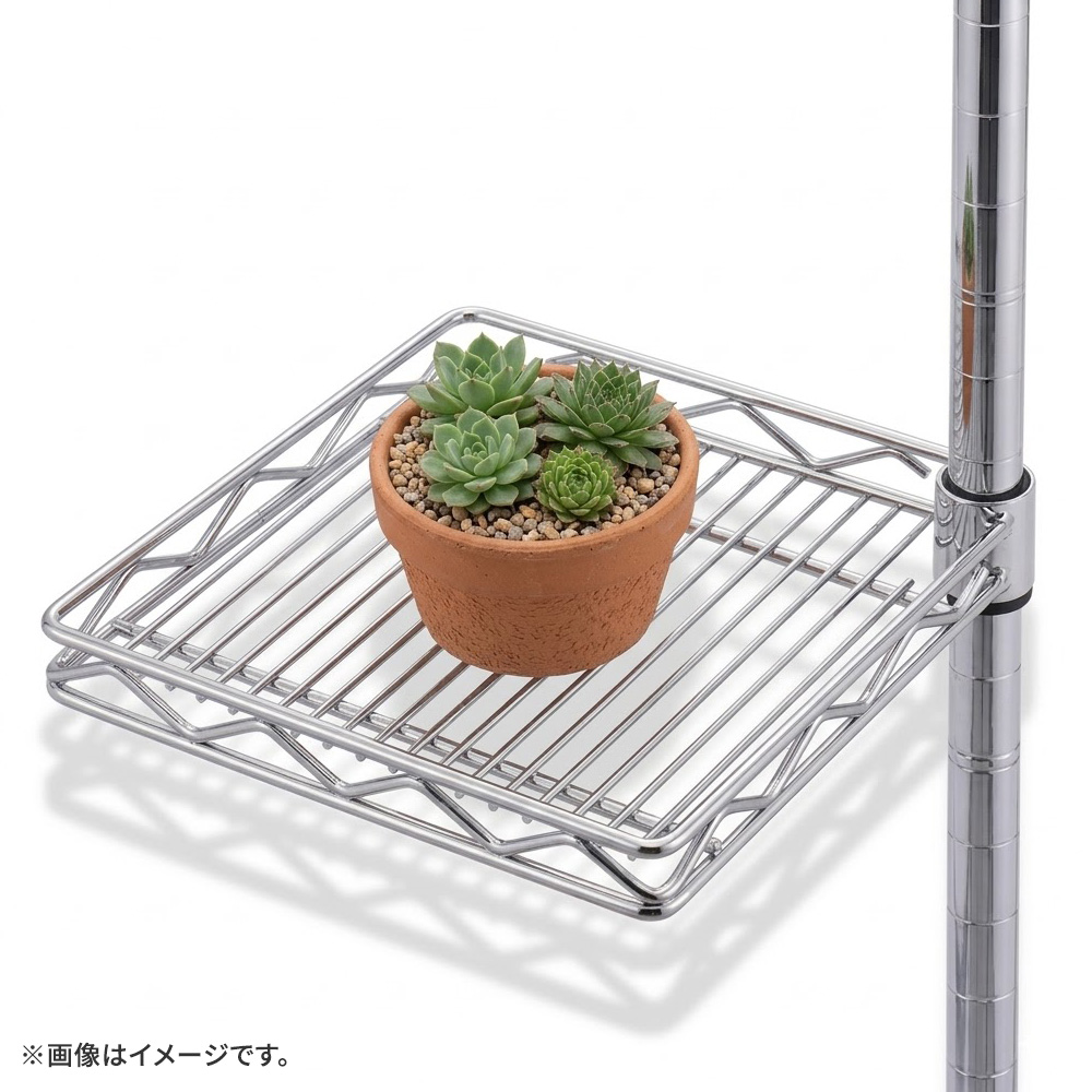 �摜