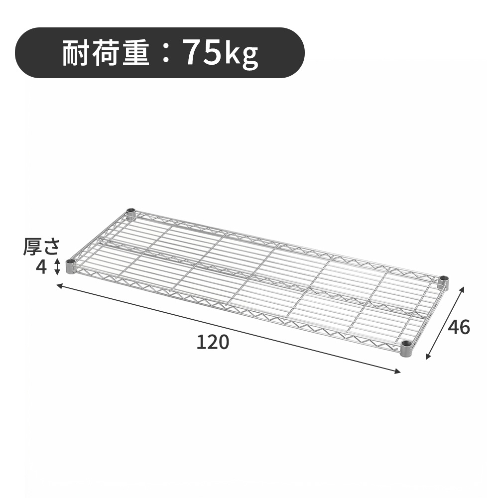 �摜