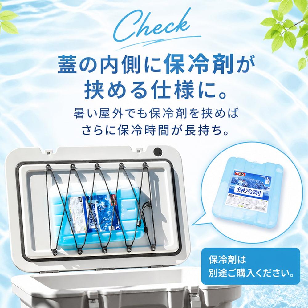 �摜