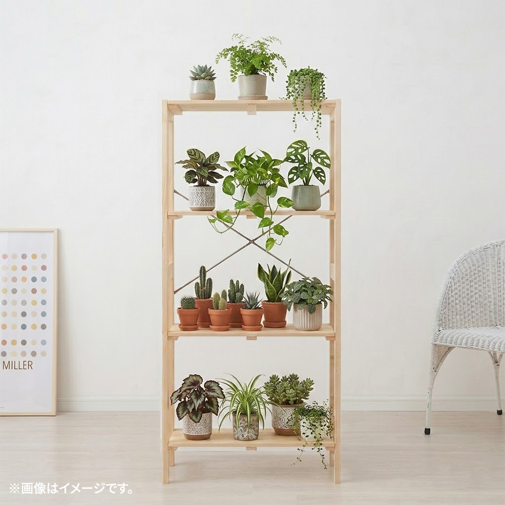 �摜