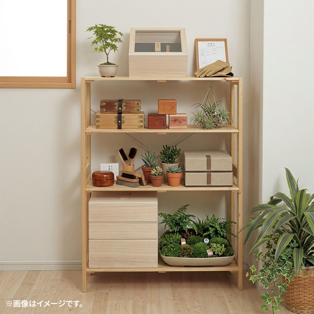 �摜