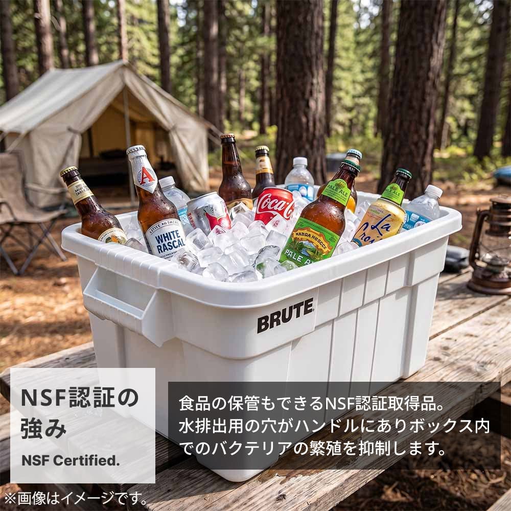 �摜