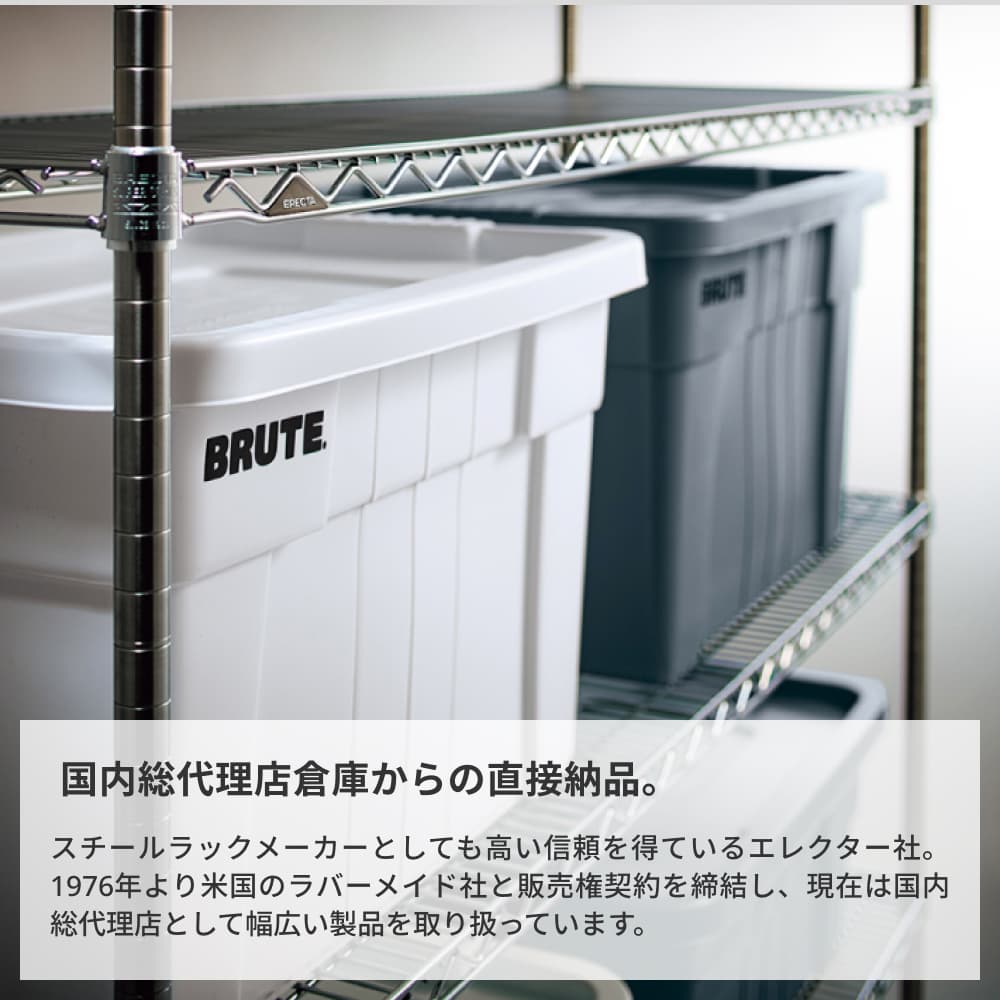 �摜