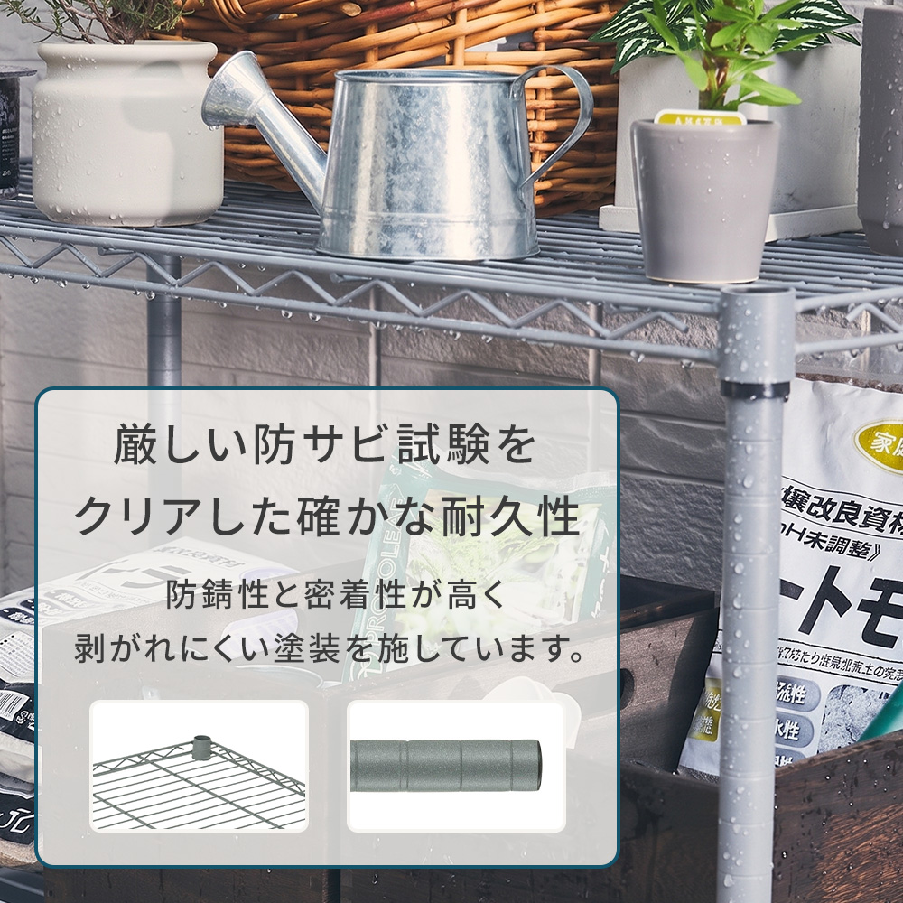 �摜