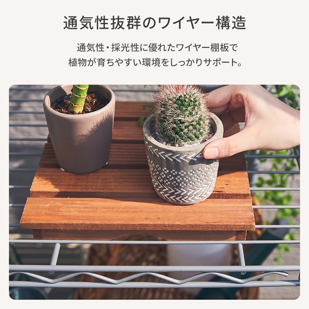 �摜