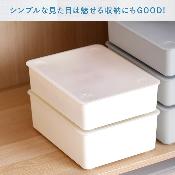 送料無料 下着収納ケース 10分割 2 3営業日以内出荷 Clo Smy0029 ルミナス エレクター専門店 パーフェクトスペース本店