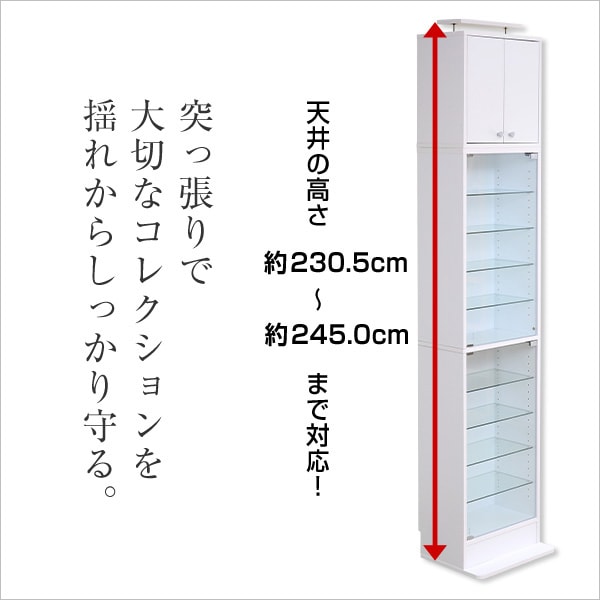 全カラー予約販売(通常1ヶ月以内出荷) 【送料無料】コレクションケース 幅48.5×奥行29cm ダークブラウン/ホワイト 送料無料  2～3営業日以内出荷 WRK-SZO0002